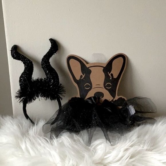 New XS Dog Costume Ears Headband and Tutu Set - Picture 4 of 5